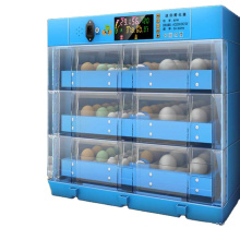 factory direct sales intelligent automatic incubator small household mini egg semi-automatic incubator